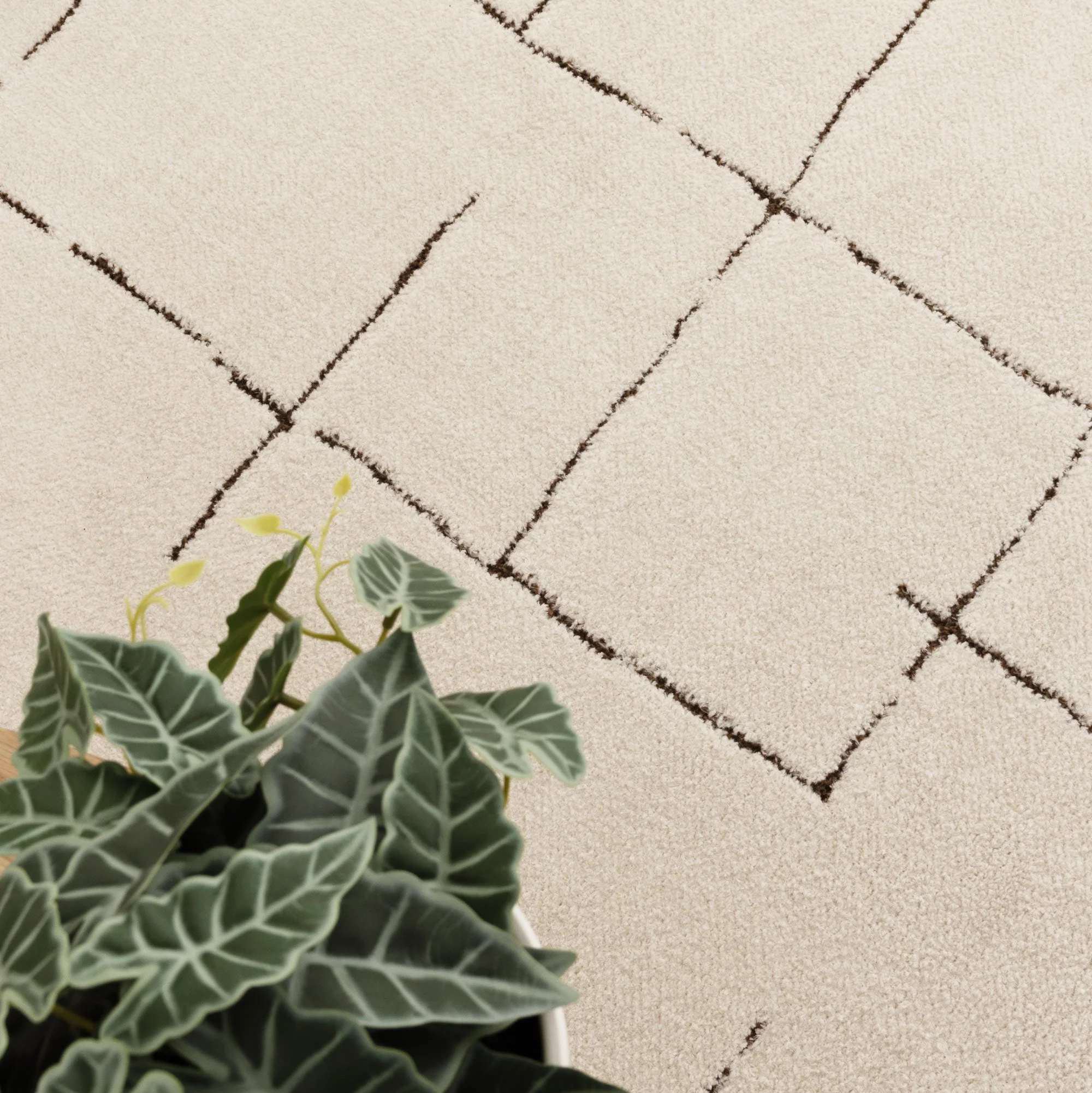 Mila Abstract Lines Brown Cream Rug - MIL10 - Image 5